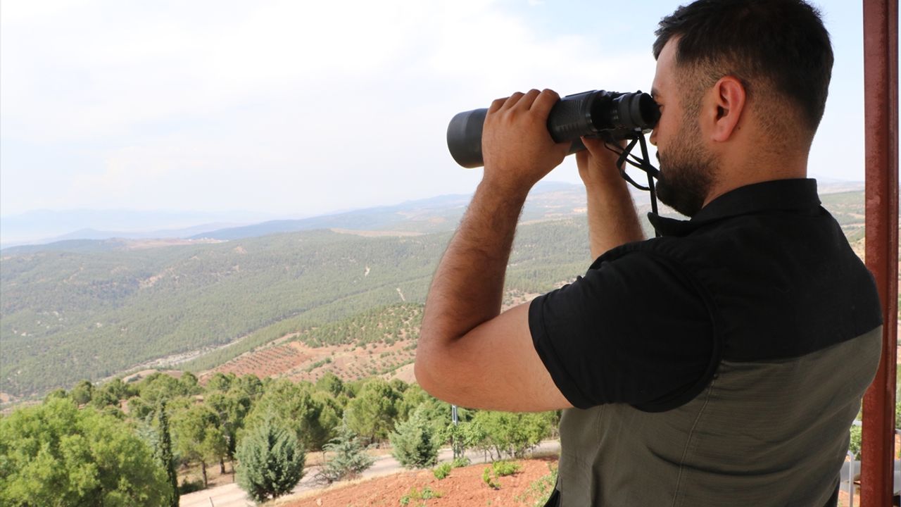 Kilis'te orman yangınlarına karşı karadan ve havadan denetim yapılıyor
