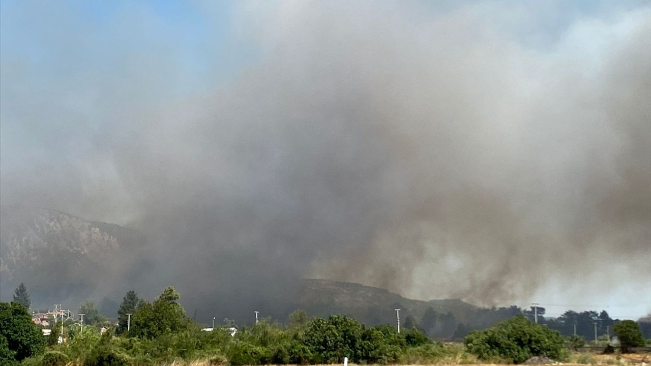 Antalya'nın Serik ilçesinde çıkan yangına müdahale ediliyor