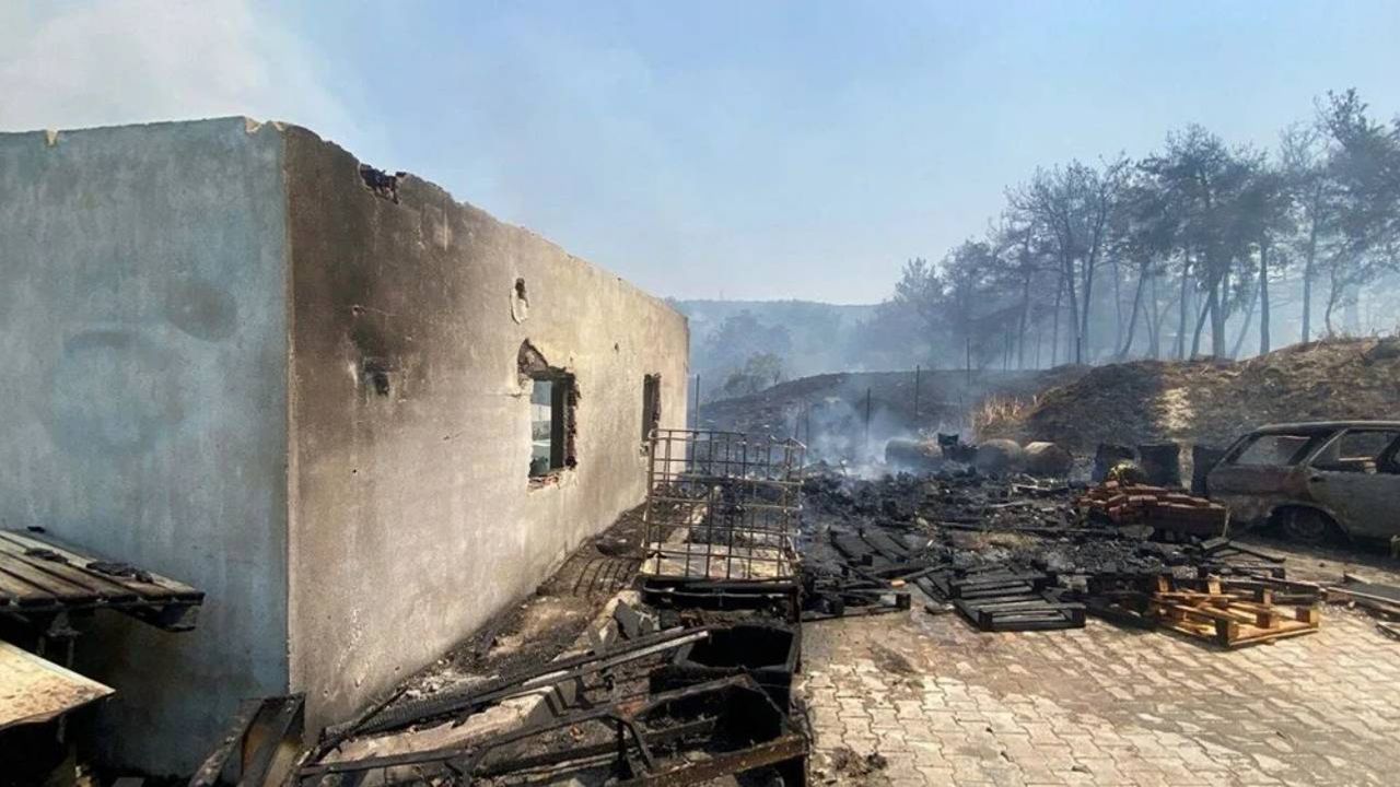 İzmir'de orman yangını: Bornova'daki alevler Buca'ya sıçradı