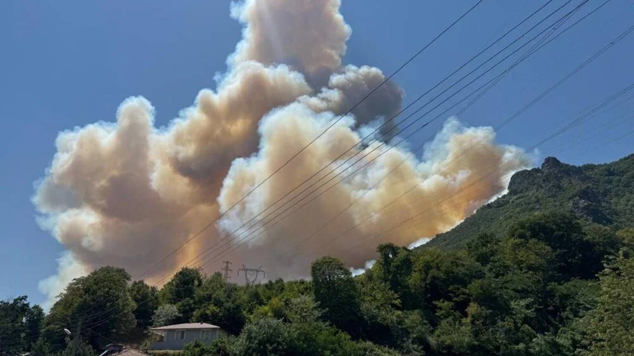 Sakarya'da yeni orman yangını başladı: Dumanlar gökyüzünü sardı
