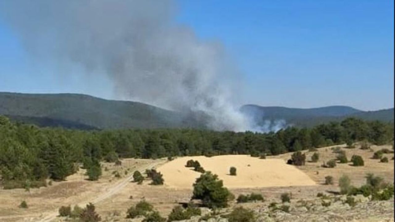 Eskişehir'de ormanlık alanda çıkan yangına müdahale ediliyor