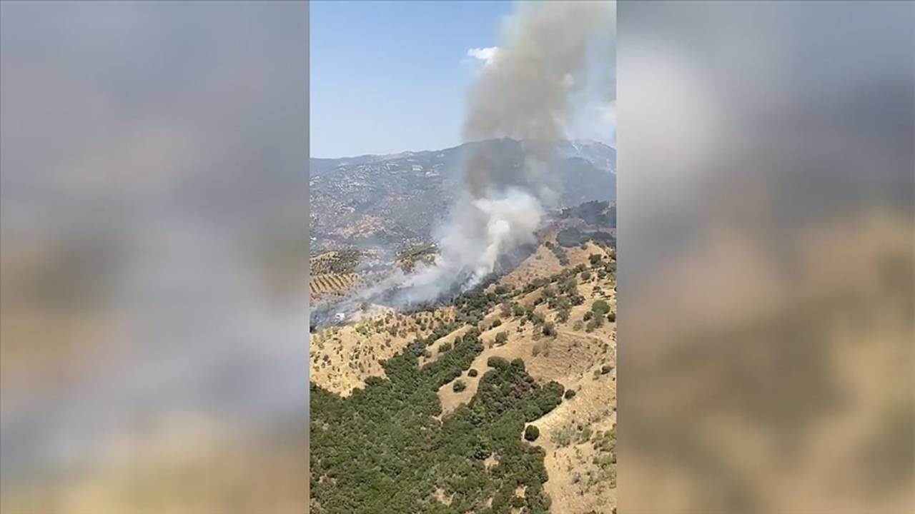 Aydın'da ziraat alanında yangın