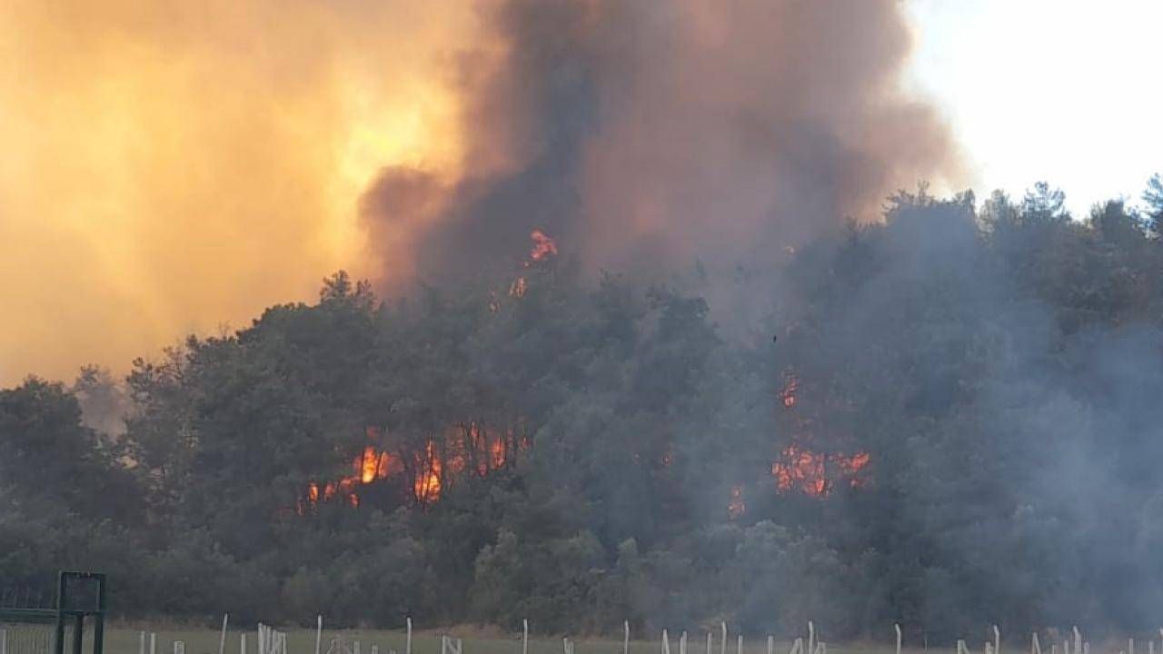 Kocaeli'de ağaçlık ve makilik alanda çıkan yangın kontrol altına alındı