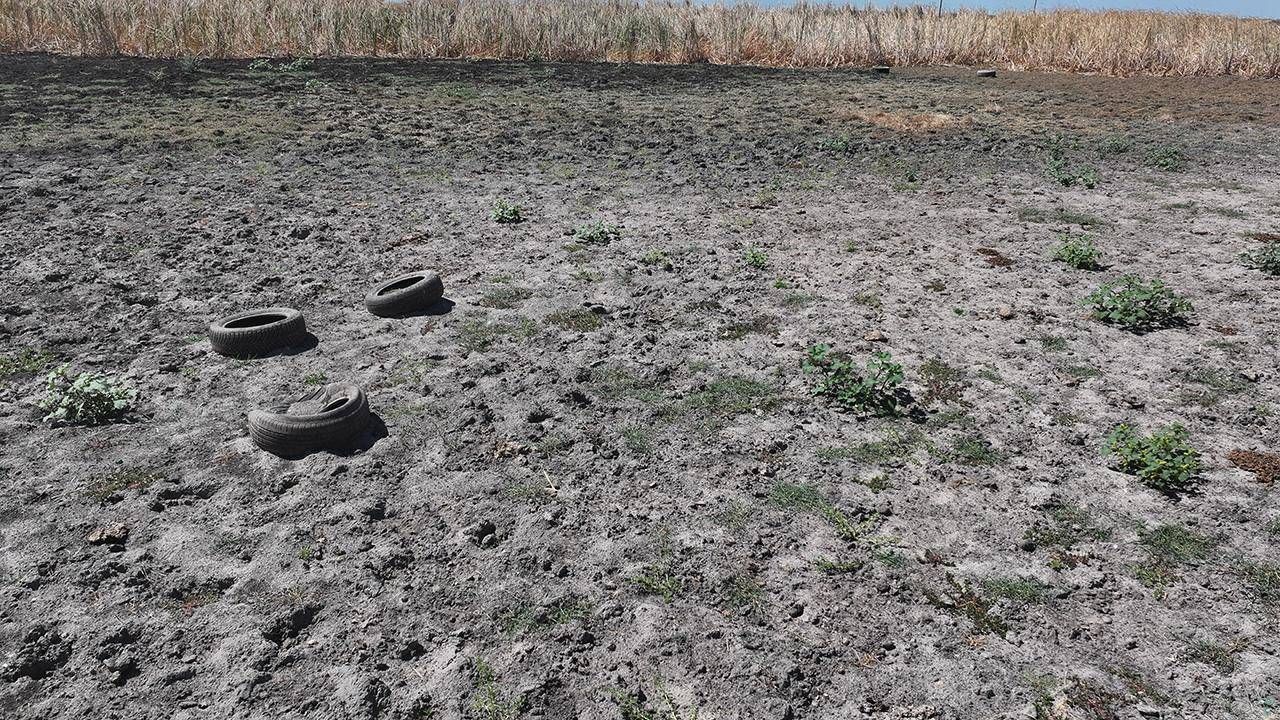 Edirne'deki Yağcılı Göleti tamamen kurudu