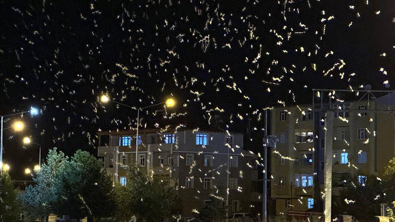 'Bir günlükler'in ölüm dansı başladı
