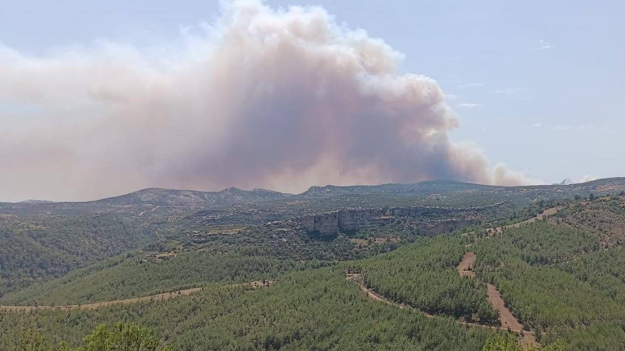 Malatya'daki orman yangınına ekiplerce müdahale ediliyor
