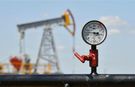 Petrol hakkına müteallik karar