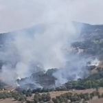 Bursa'da çıkan orman yangınına müdahale ediliyor