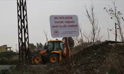 Hatay'da kuş gribi nedeniyle karantina