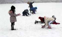 Valiliklerden peş peşe açıklama! Okullar tatil edildi