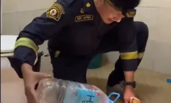 Kızgın kobrayı 5'lik su şişesiyle hipnoz edip yakaladı