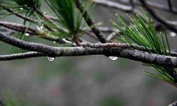 Hafta sonu hava durumu nasıl olacak?