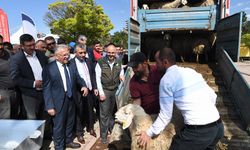 Kayseri Büyükşehir’den tarım ve hayvancılığa 1 Milyar TL’lik destek