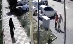 Sahipsiz köpekler anne ve kızına saldırdı! O anlar kamerada...