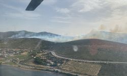İzmir'de orman yangını