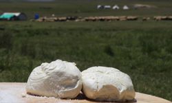Erzincan tulum peynirine AB tescili