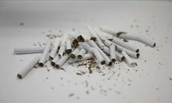 Dünya Tütünsüz Günü Nedir, Ne Zaman Kutlanır?