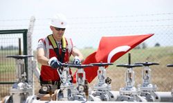 TPAO'nun 2 sahasının ruhsat süresi 2 yıl uzatıldı