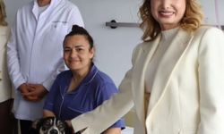 Hasta yatağına köpek sokan milletvekili