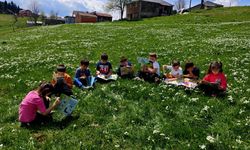 Trabzon'da yayla çiçekleri arasında kitap okuma etkinliği
