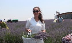 Burdur'da Lavanta Hasat ve Sanat Günleri etkinlikleri sona erdi