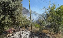 Hatay'da ormanlık ve çamlık alanda çıkan yangınlar söndürüldü