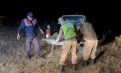 Kaçak avlanan 1,5 ton inci kefali suya geri bırakıldı