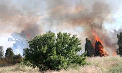 Çanakkale'de çıkan arazi yangını kontrol altına alındı