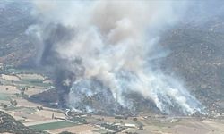 İzmir Bornova'daki yangının nedeni belli oldu