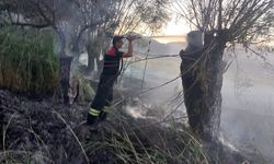 Burdur'da traktörde çıktıktan sonra ağaçlık alana sıçrayan yangın söndürüldü