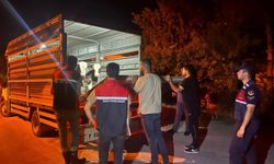 Şap hastalığından karantinadaki köyden hayvan sevk eden besiciye para cezası
