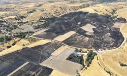 Amasya'da 500 dönüm arazi yandı