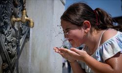 Siirt'te sıcaklık 46,9 dereceyi buldu