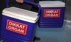 Organ bağışı 2 hastaya umut oldu