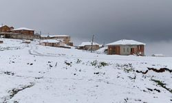 Karadeniz'de 4 ilde kar etkili oldu