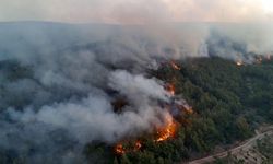 Orman yangınlarına ilişkin 39 şüpheli tutuklandı