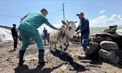 Şap hastalığıyla mücadele için seferberlik başladı