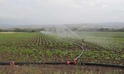 2025 yılı sulama tesisleri ücret tarifesi belirlendi