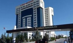 Gıdada uygunsuzluğa bu yıl 1,5 milyar lira ceza kesildi