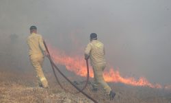 Kırklareli'nde orman yangını!