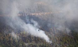 Kastamonu’da arazi yangını ormana sıçradı