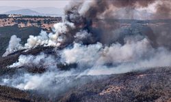 Orman yangınlarında 132 yapıda ağır hasar oluştu