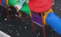 Ağızlıksız pitbull çocuk parkında dehşet saçtı
