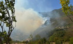 Bartın'da ormanlık alanda çıkan yangına müdahale ediliyor