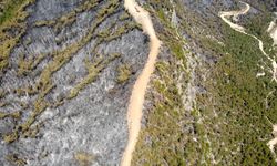 Karabük'te yanan ormanlık alan havadan görüntülendi