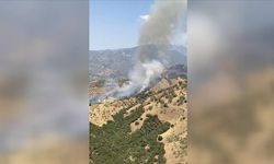 Aydın'da ziraat alanında yangın