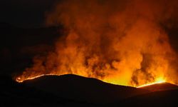 California'da 12 bin hektardan fazla alan yandı