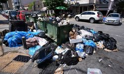 İzmir'de çöp krizi büyüyor: Sinekler böcekler fareler cirit atıyor