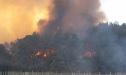 Karabük'te ormanlık alanda çıkan yangına müdahale sürüyor