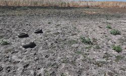 FAO'dan Türkiye'deki erozyon ve kuraklık tehlikesine 8,1 milyon dolarlık destek